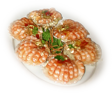 Conchiglie con Patè di Mare e Gamberi